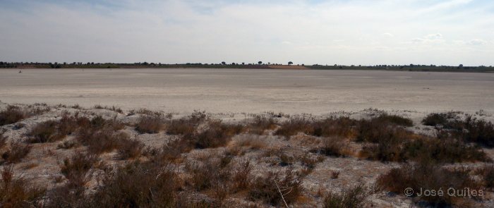 Laguna de Alcahozo