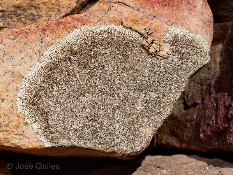 Sierra Espadn, CS