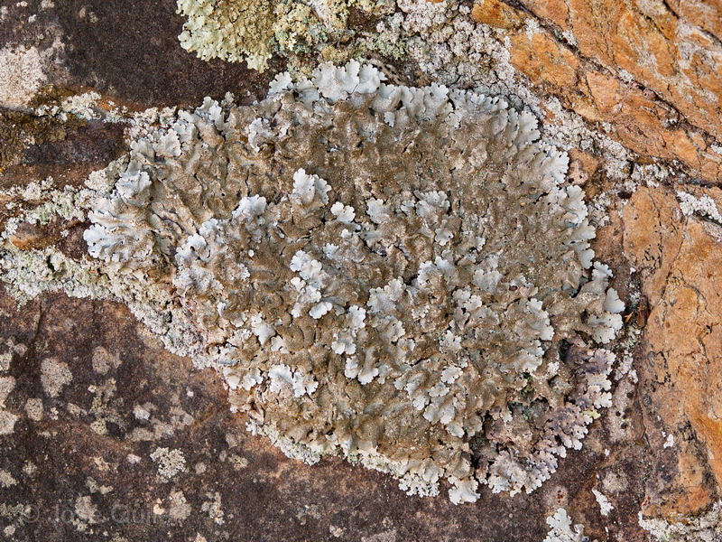 Sierra Espadn, CS